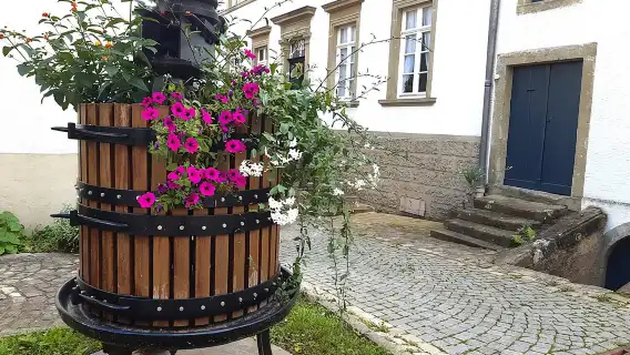 Private Tour of Luxembourg City and the Countryside 