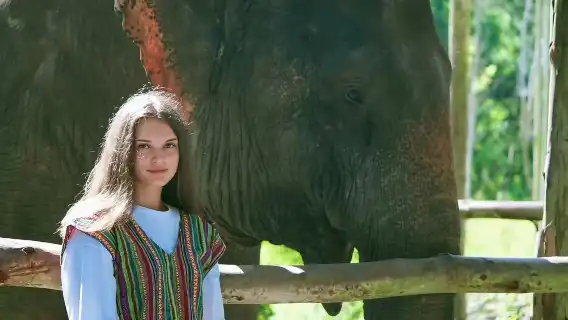 暑期特惠！買1大送1小|贈卡皮巴拉餵食|奈迪大象保護營