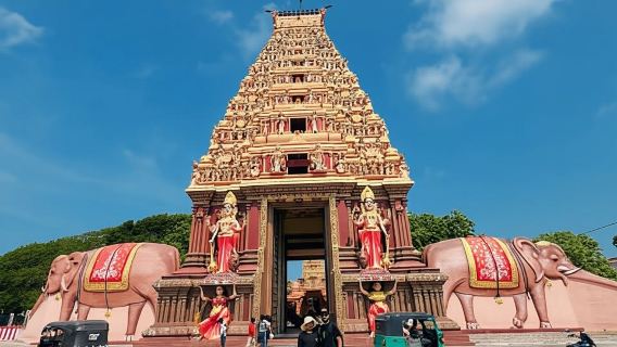 Jaffna: Temples, Royal Palaces, and Coastal Heritage Tour