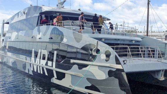 Tour panoramico della città di Hobart con biglietto MONA incluso