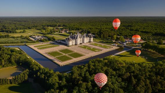 Chambord: biglietto d'ingresso al castello