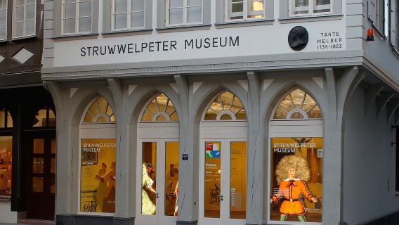 Frankfurt: Entrada al Museo Struwwelpeter con audioguía