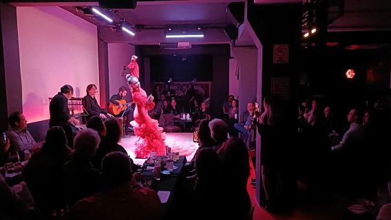 Kota Meksiko: Pertunjukan Langsung Flamenco Tablao & makan malam
