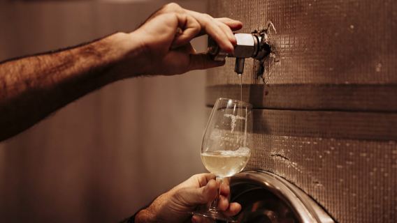 Brisbane: Vino e cena tra le vigne