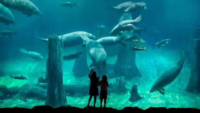 Singapore: River Wonders Entry Ticket