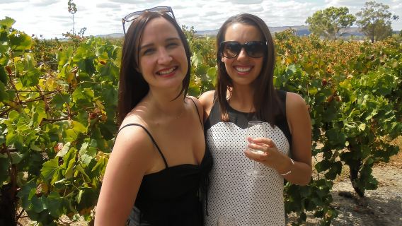 Perth: Crucero de día completo por el valle de Swan y cata de vinos con almuerzo