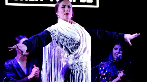 Madrid: Flamenco Show at Tablao Sala Temple with Drink