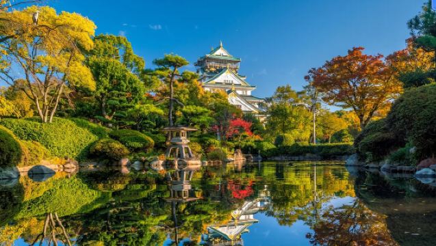 日本東京｜大阪｜京都｜旅遊地接｜地陪陪玩｜展會陪同｜翻譯｜接機｜AY