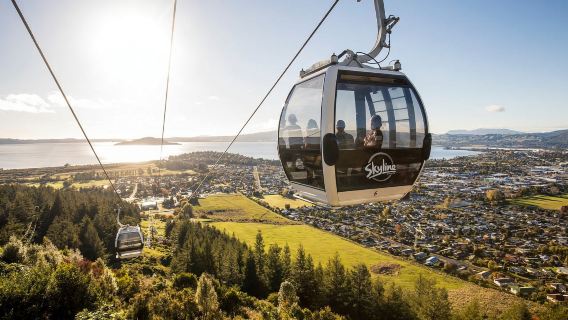 Skyline Rotorua: teleférico + Luge/almuerzo buffet VIP en la cena/montaña
