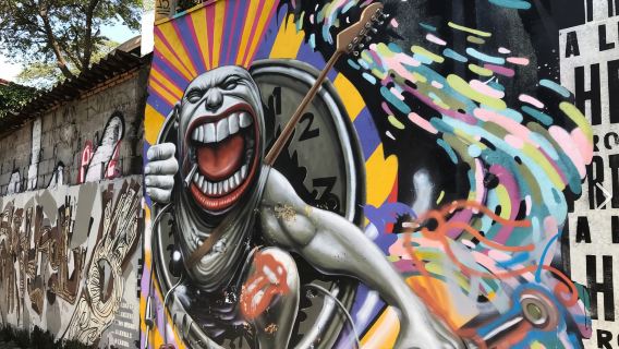 First-time visit to Sao Paulo, efficient check-in - classic attractions - safe - Chinese private charter day tour