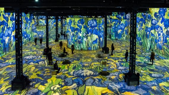 Van Gogh Museum + BODY WORLDS Amsterdam + Red Light District Amsterdam Centrum Day Tour