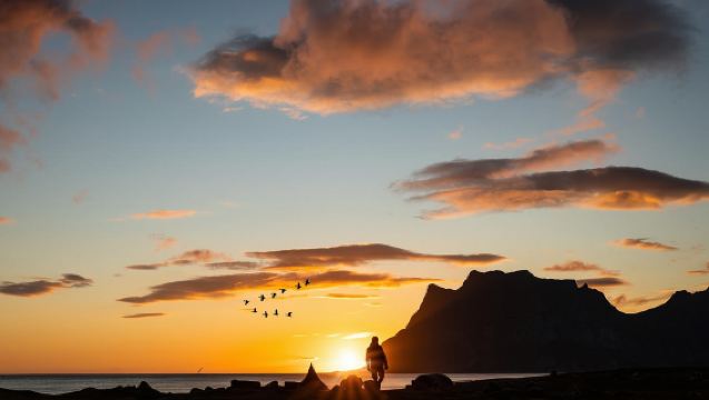 Leknes: Guided Lofoten Island Shore Excursion