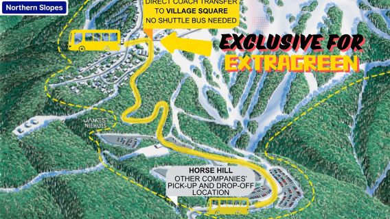 From Melbourne: Mt Buller Village Express Coach Transfer