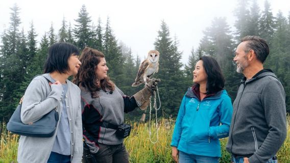 From Vancouver: Capilano Suspension Bridge & Grouse Mountain