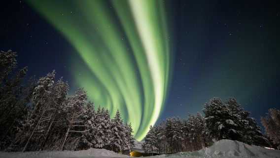 Northern Lights Chase