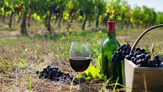 Private wine tour to Khor Virap, Areni winery, Noravank