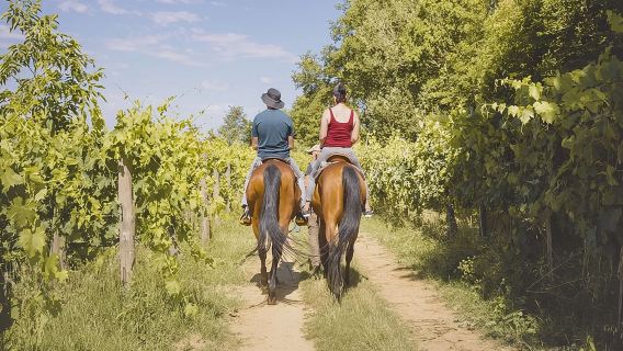 Horseback Riding Tour with Tuscan Picnic in Val d'Orcia and Valdichiana