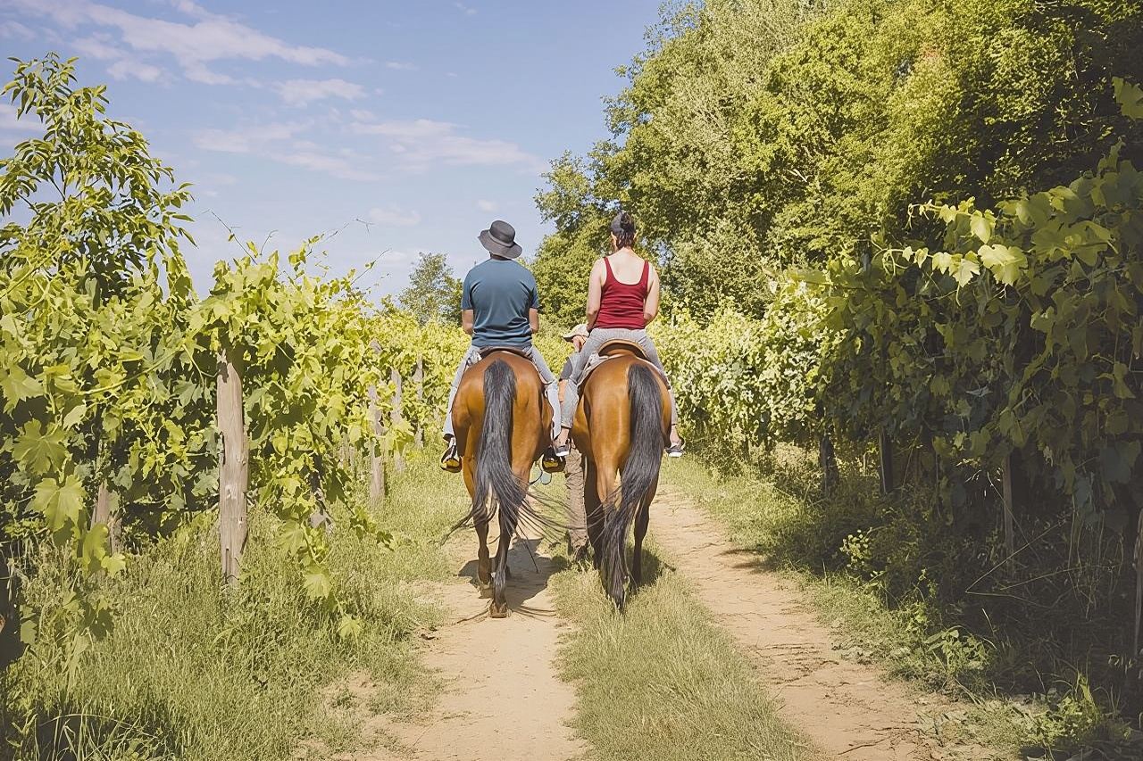 Horseback Riding Tour with Tuscan Picnic in Val d'Orcia and Valdichiana