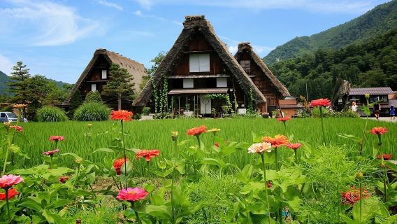Nagoya to Shirakawa-go & Hida Takayama: UNESCO Heritage 1-Day Tour