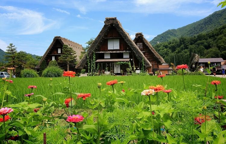 日本名古屋白川鄉+飛驒高山一日遊（名古屋出發）
