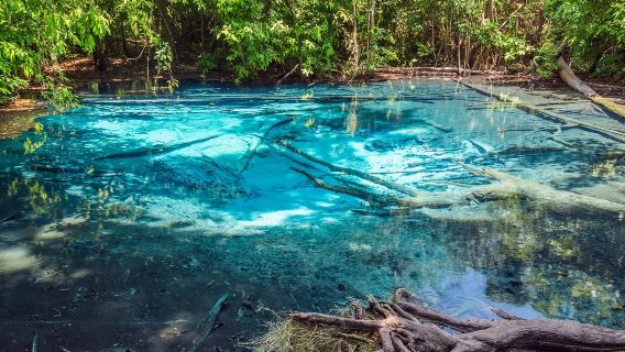 Tagesausflug zum Smaragdsee und Wasserfall in Krabi mit Option zur Aufwertung mit Tigerhöhlentempel oder ATV