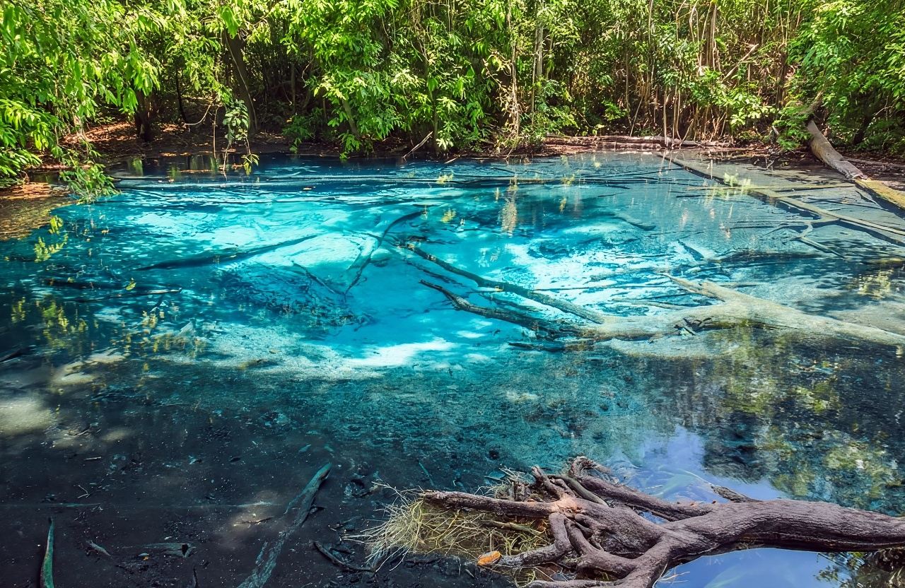 Lawatan sehari ke Kolam Zamrud Krabi + Air Terjun Panas Krabi [Boleh dinaik taraf ke Wat Tham Suea/ATV]