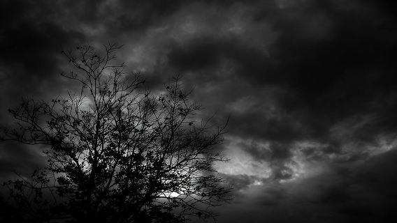 Mysteries and Murders of Salem Guided Night-Time Walking Tour