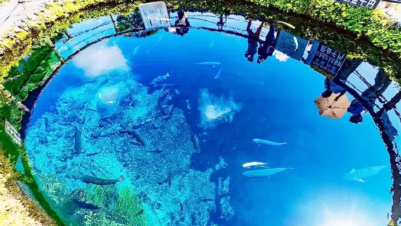 perjalanan satu hari ke Stasiun Kelima Gunung Fuji, Oshino Hakkai, dan Gotemba Outlets dari Tokyo, Jepang