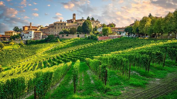 In-App Video-Guided Tour of Mesmerizing Langhe Region