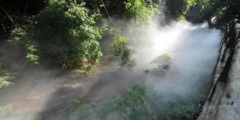 川西竹海+平樂古鎮私家團一日遊(獨立成團)