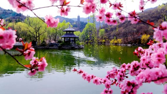 山東済南 九如山芸術小鎮 カスタム日帰りツアー|現地ガイド|ガイド|貸切チャーター】JY