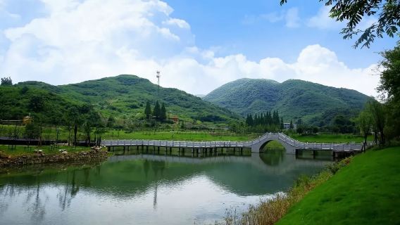 鳳凰山景區+ 犁橋水鎮一日遊【賞景水鄉◆2-8 人小團】 