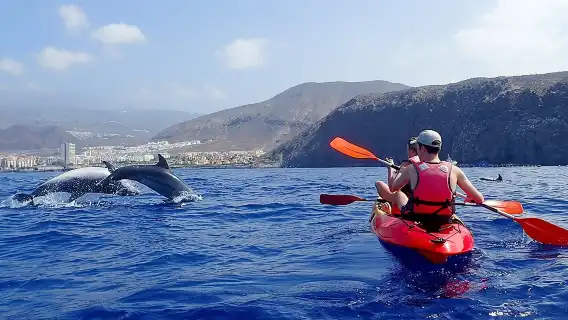 Kayaking with Dolphins and Turtles and Snorkelling in Tenerife