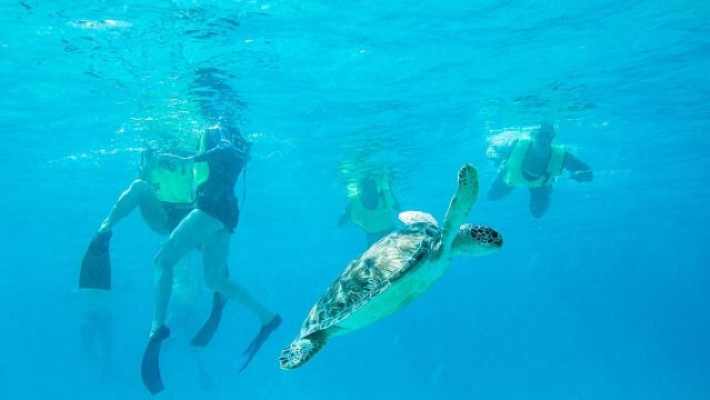 National Park Snorkeling Excursion 