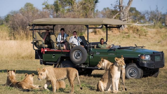 Ganztägiger Ausflug zum Chobe-Nationalpark ab Victoria Falls