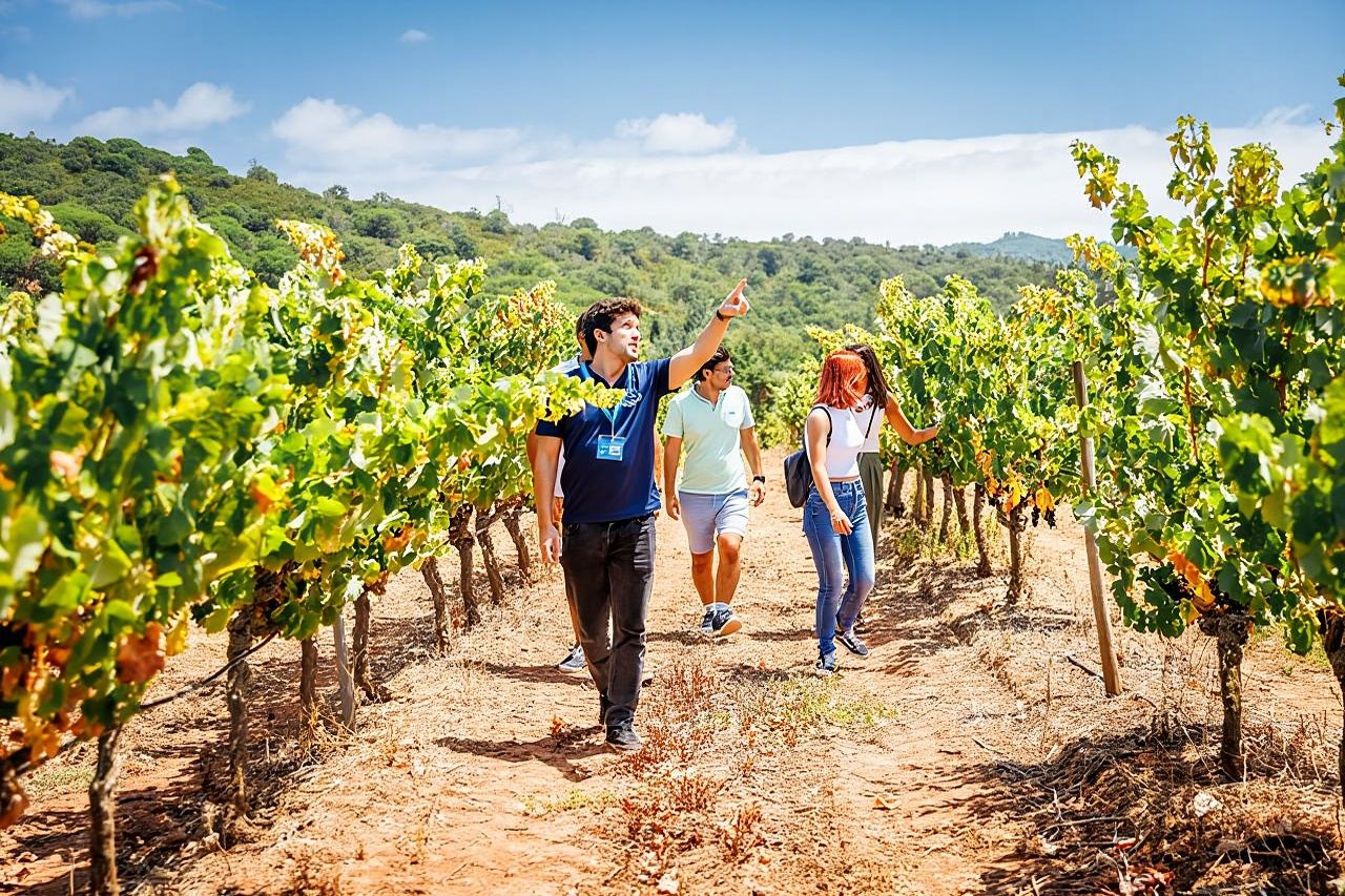 Arrabida and Sesimbra Small-Group Day Trip from Lisbon with Wine Tasting