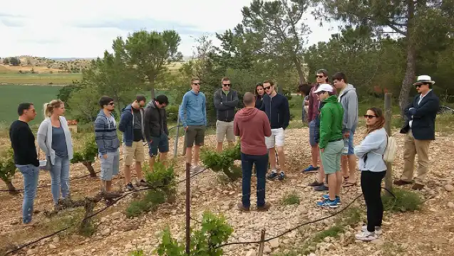 Private Wineries Tour from Valencia (morning tour)