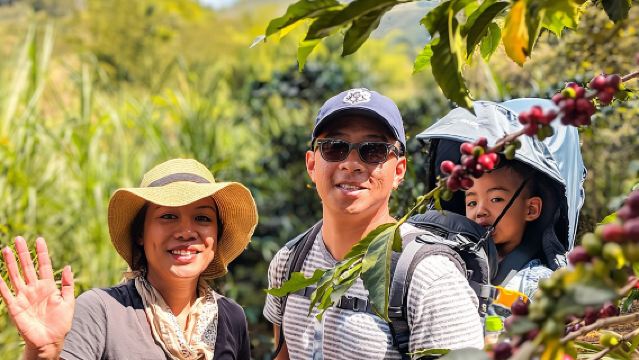 Half-Day Coffee Tour: From the Seed to the Cup, Farm & roastery