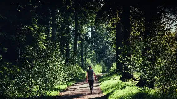 Glen Affric & Culloden Tour from Inverness Including Admissions