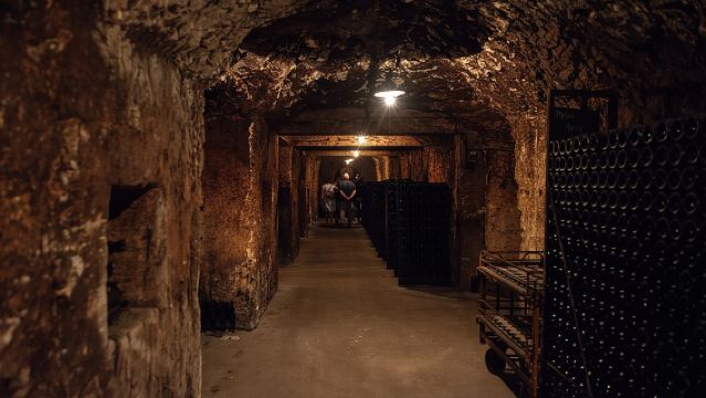 蘭斯午後香檳與家族酒莊之旅