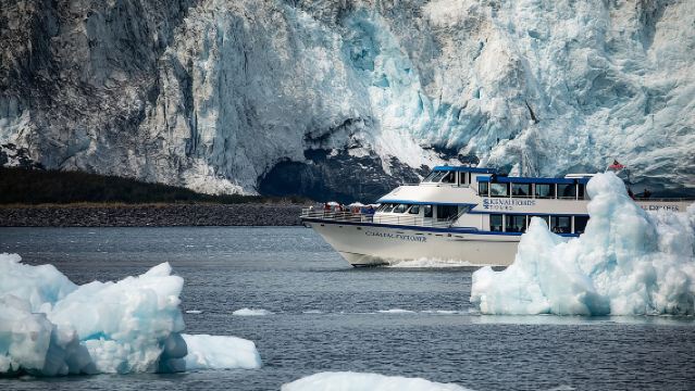 Kenai Fjords National Park Glacier & Wildlife Tour from Seward