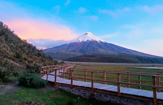 基多出發的科托帕希火山全日遊（含門票）