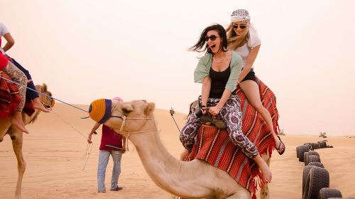 Private 4Hours Red Dunes Safari Camel Ride ,Falcon & Dune Thrills 5