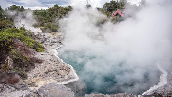 Da Rotorua - WAI-O-TAPU - Piscina WAIKITE e crociera alle CASCATE HUKA