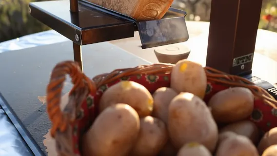 Montreux: Cheese like a local with lake & mountain views