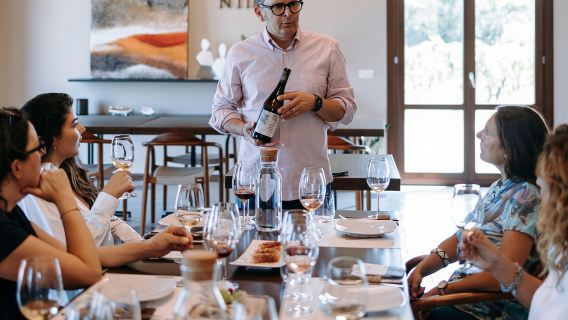 Visita a una bodega y degustación en las laderas volcánicas cerca de Catania