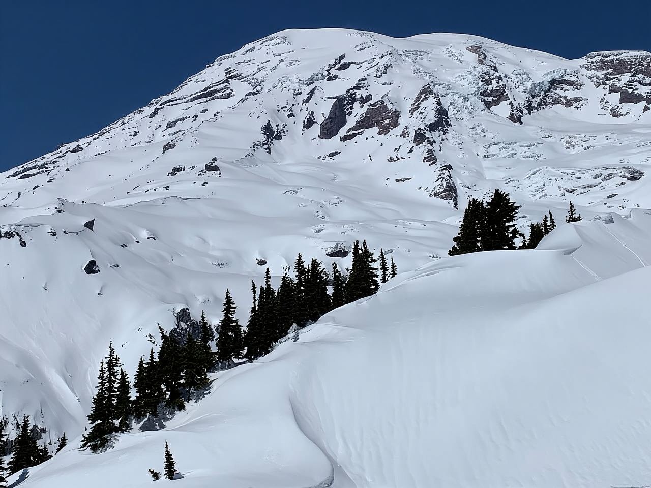 Seattle: Mt. Rainier Hiking w/ Waterfalls, Glaciers & Trees