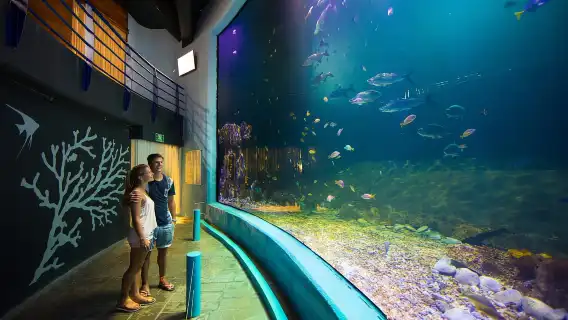 Cancún: Interactive Aquarium Admission