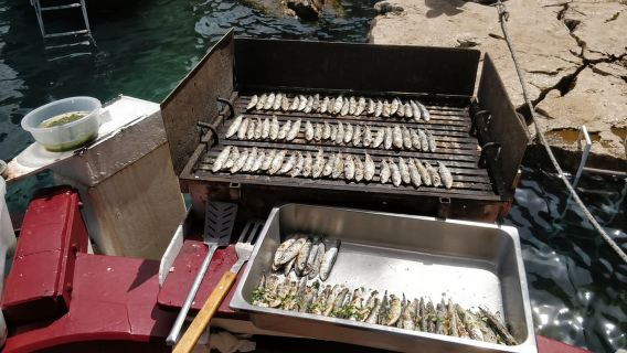 Rovinj: Bootstour zur Roten Insel und zum Limfjord mit Grillen und Schwimmen