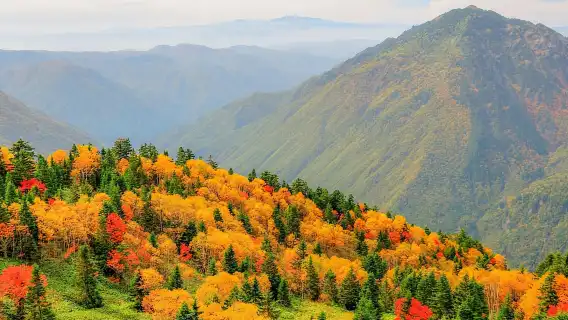 高山発:新穂高ロープウェイと上高地ツアー